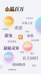 开云下载app